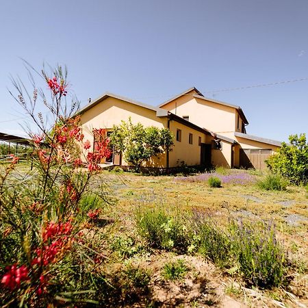 Agriturismo Bio Podere 109 - Wine&Food Альберезе Экстерьер фото