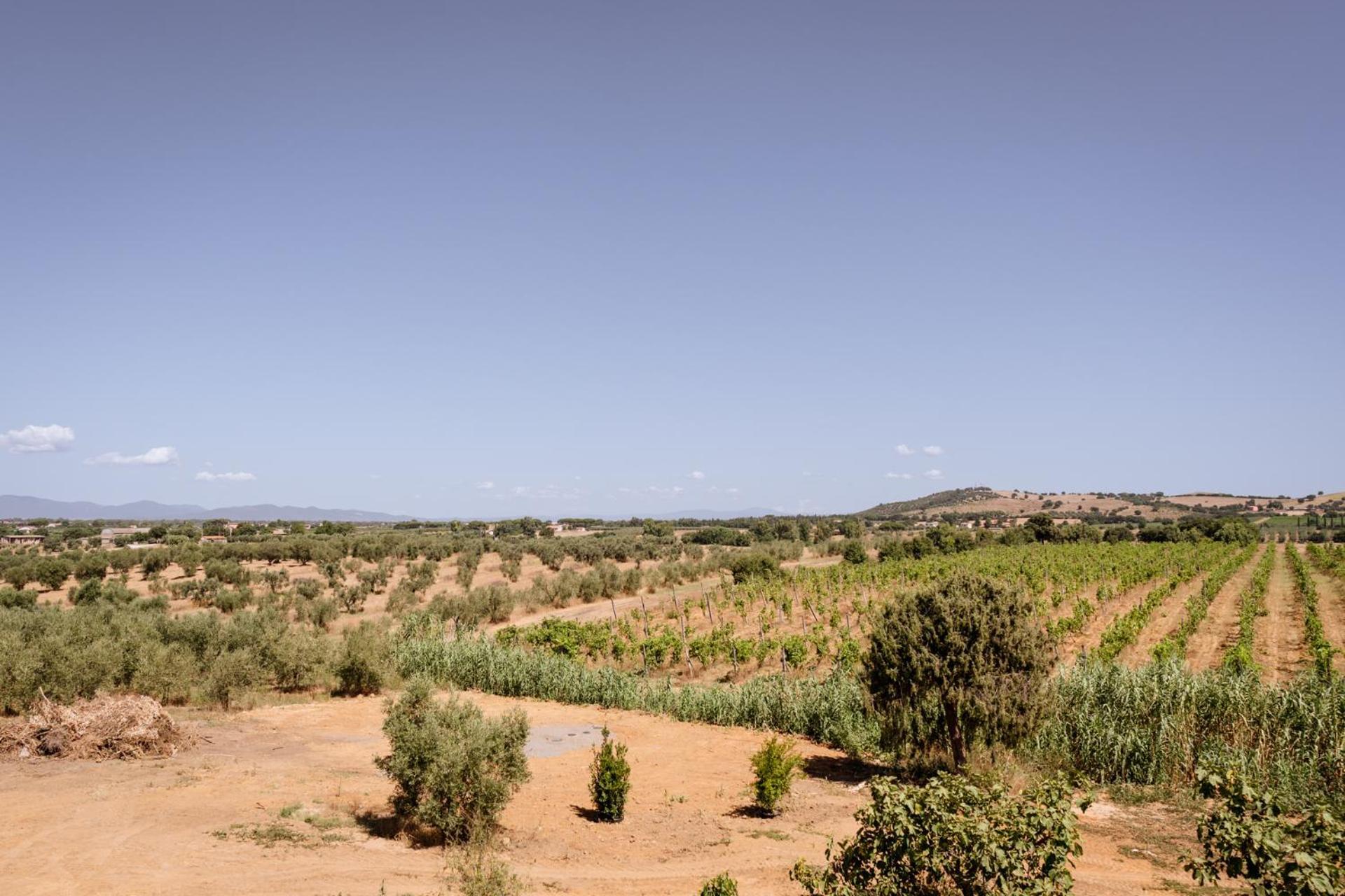Agriturismo Bio Podere 109 - Wine&Food Альберезе Экстерьер фото